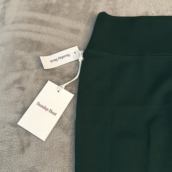 Aritzia Sunday Best Totally Skirt - Scarab - NWT - Size Medium or Large - Picture 7 of 9